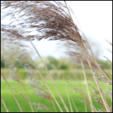 Go to Home Page Click to go to Home page